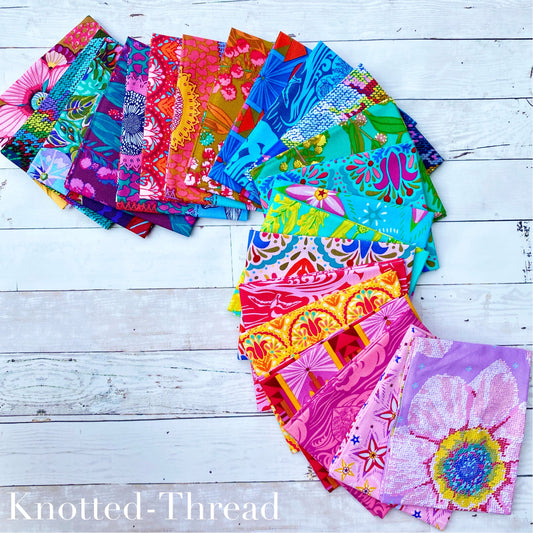 Welcome Home by Anna Maria Horner - Complete collection bundle