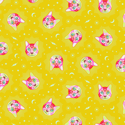 Curiouser and Curiouser - Tula Pink Cheshire in Wonder