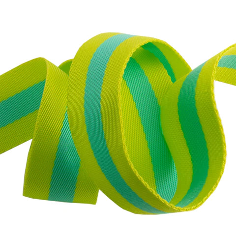 Lime/Turquoise - 1.5" Tula Pink Webbing