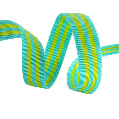 Lime/Turquoise - 1" Tula Pink Webbing