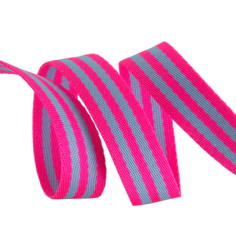 Aqua/Hot Pink - 1" Tula Pink Webbing