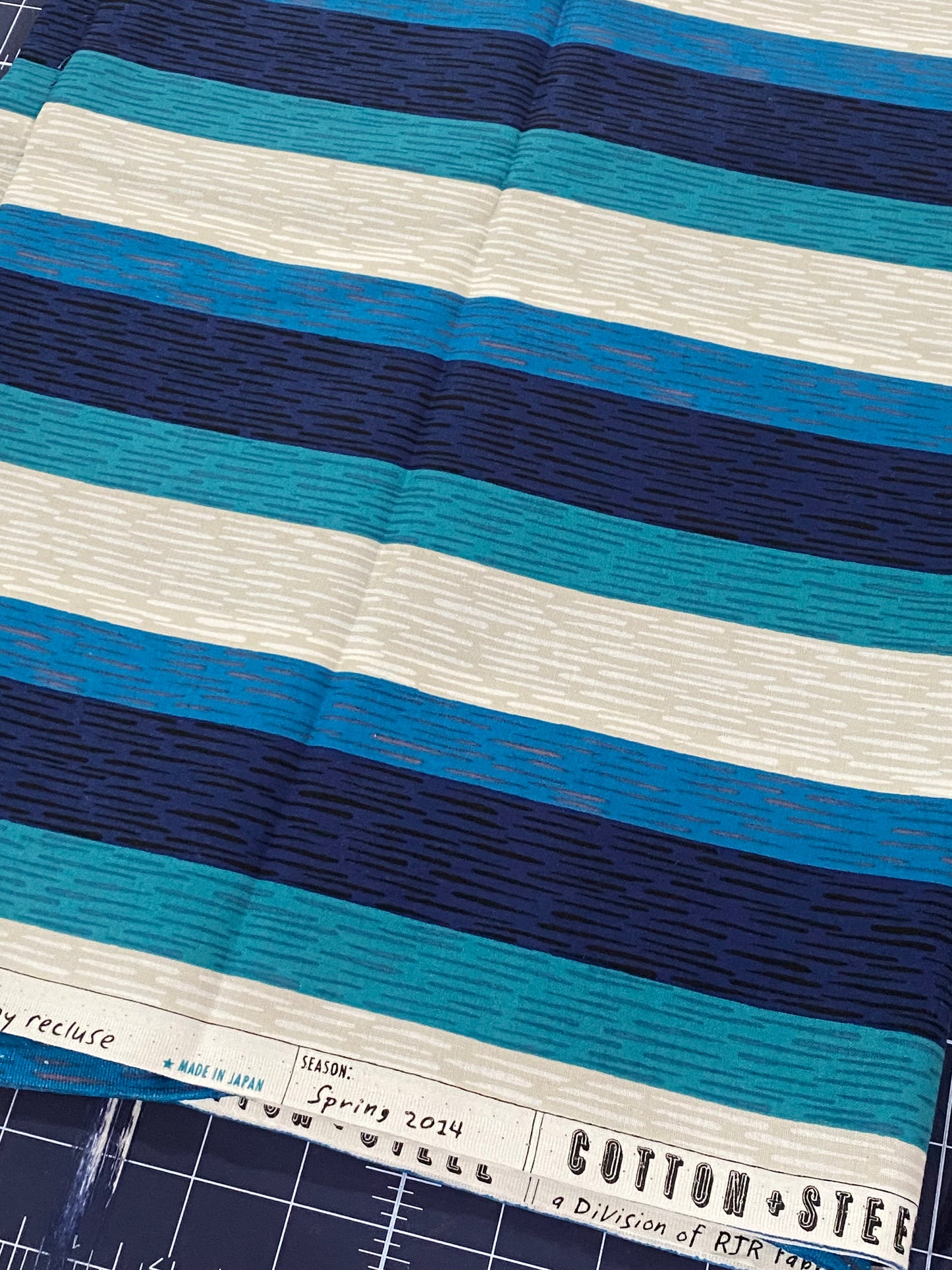 Homebody by Kim Kight - blue stripe